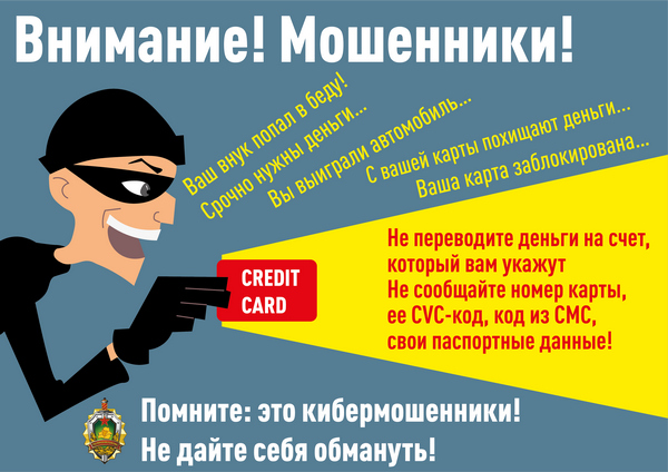 Противодействие IT- преступности.